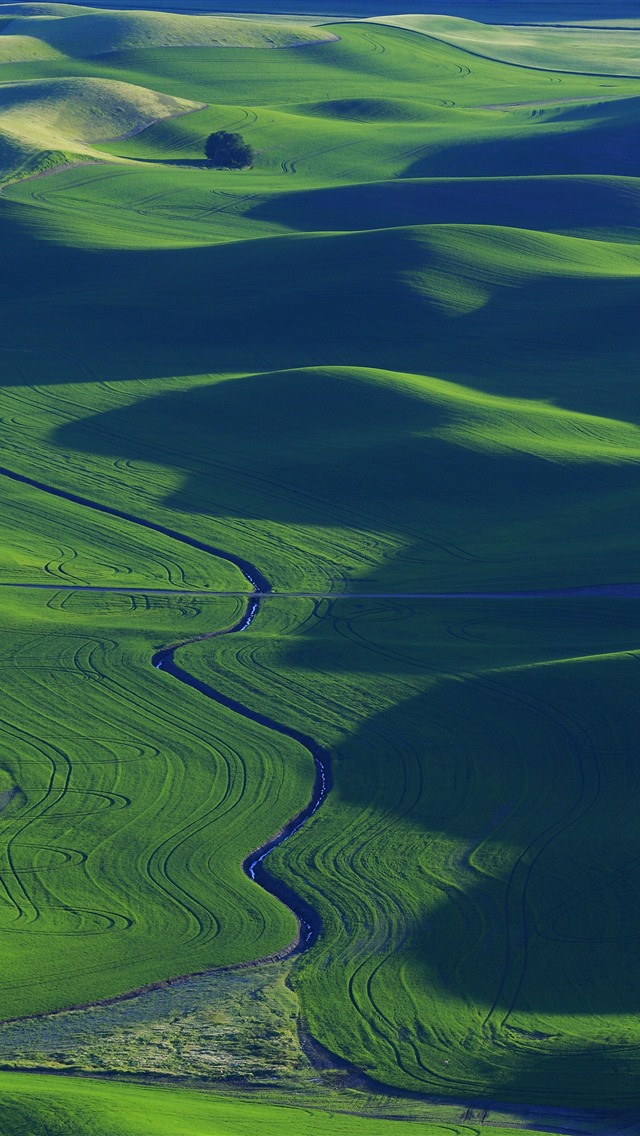 麦田苹果破解版(麦田破解版免费下载)-第3张图片-有道翻译官网 麦田苹果破解版(麦田破解版免费下载)-第3张图片-有道翻译官网