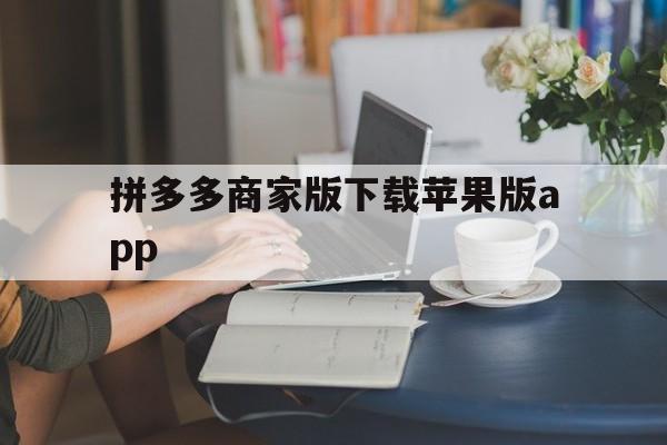拼多多商家版下载苹果版app的简单介绍-第14张图片-有道翻译官网 拼多多商家版下载苹果版app的简单介绍-第14张图片-有道翻译官网
