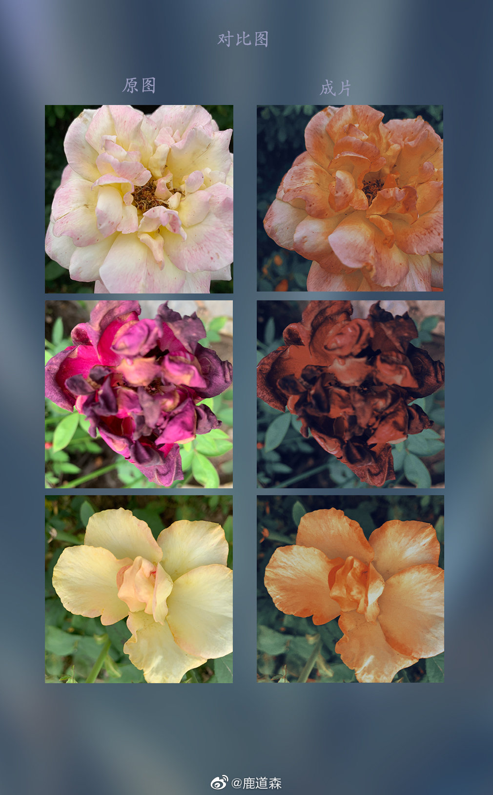 vsco电脑版苹果电脑版下载不了(macbookpro下载vscode)-第8张图片-有道翻译官网 vsco电脑版苹果电脑版下载不了(macbookpro下载vscode)-第8张图片-有道翻译官网