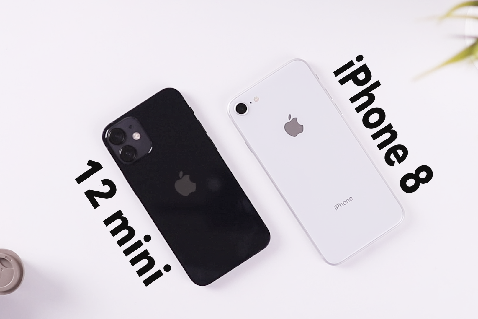 迷你版苹果八(苹果手机迷你版是哪款)-第8张图片-有道翻译官网